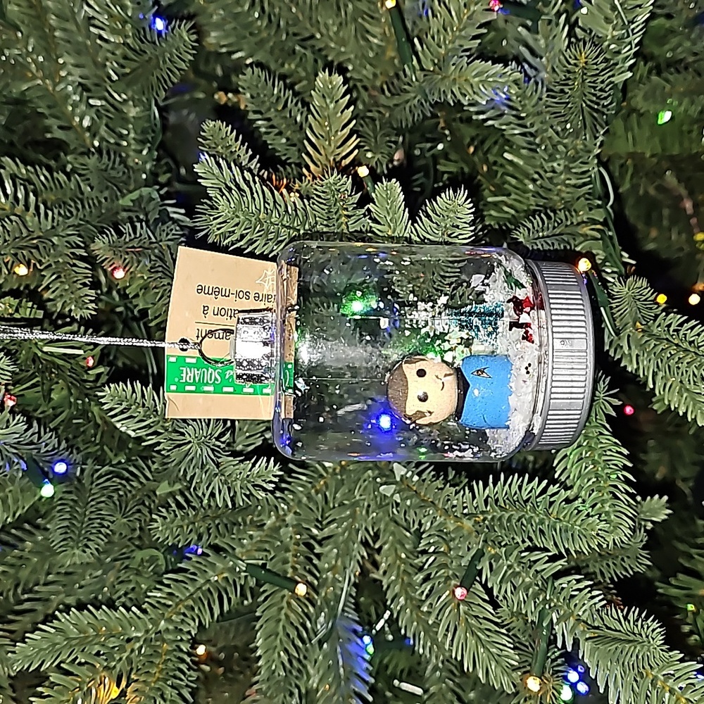 Star Trek DIY Ornament